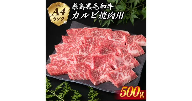 【ふるさと納税】A4ランク 糸島 黒毛和牛 カルビ 焼肉用 500g 【糸島ミートデリ工房】 [ACA049] お届け回数選べる 19000円 黒毛和牛 冷凍配送