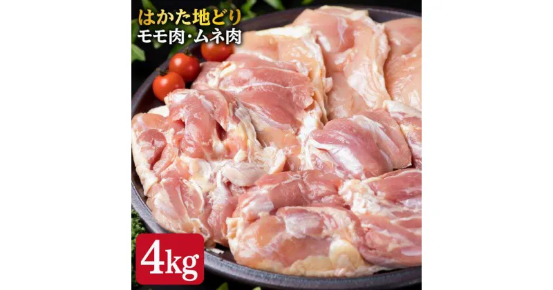 【ふるさと納税】はかた地どり もも肉 2kg & むね肉 2kg 合計4kg セット 糸島【糸島ミートデリ工房】 [ACA035] 28000円