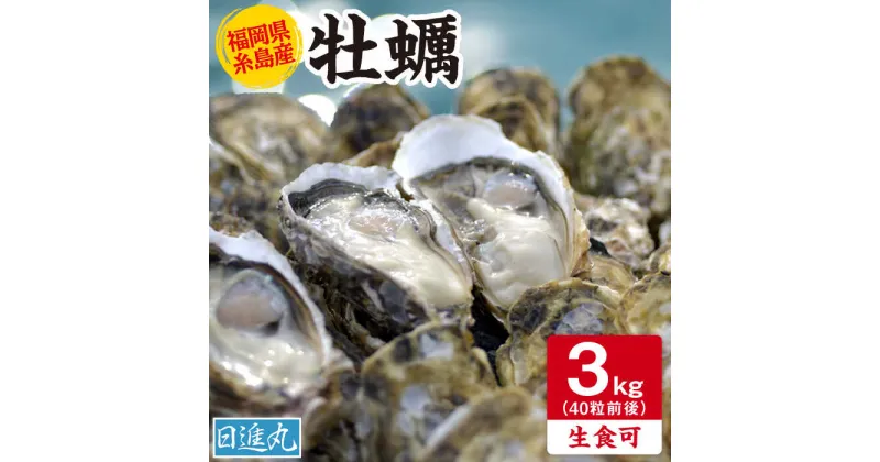 【ふるさと納税】福岡県糸島産 殻付き牡蠣 生食可 3kg(40粒前後) 糸島市 / 日進丸 牡蛎 カキ[AWA006-4] 16000円