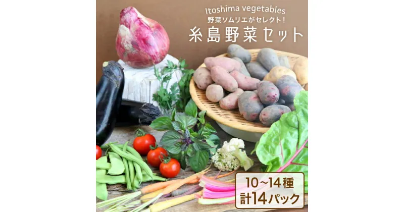 【ふるさと納税】旬を味わう『糸島野菜セット』 10～14種（計14パック） イタリア野菜 オーガニック 野菜ソムリエ松永 vegeLabo [AJB001] 20000円 2万円