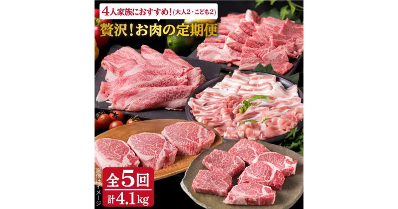 【ふるさと納税】【全5回定期便】贅沢！お肉の定期便 4人前 A4ランク 糸島黒毛和牛 糸島華豚 博多地どり セット (シャトーブリアン/牛ロース/牛ランプ/豚バラ/鶏むね) 計4.1kg 《糸島》【糸島ミートデリ工房】 [ACA083] 264000円 200000円 20万