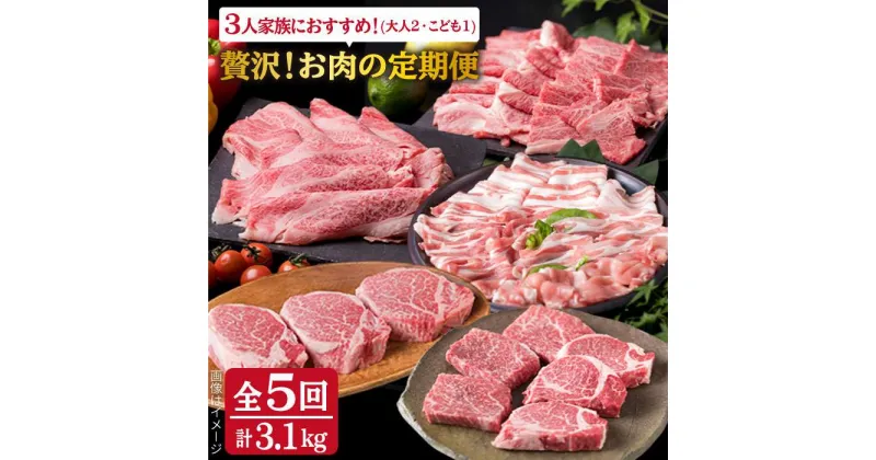 【ふるさと納税】【全5回定期便】贅沢！お肉の定期便 3人前 A4ランク 糸島黒毛和牛 糸島華豚 博多地どり セット (シャトーブリアン/牛ロース/牛ランプ/豚バラ/鶏むね) 計3.1kg 糸島 / 糸島ミートデリ工房 [ACA084] 207000円 200000円 20万