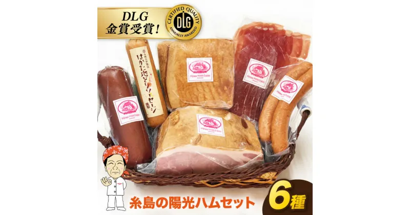 【ふるさと納税】＼DLG金賞受賞！／糸島の陽光ハム6種セット3《糸島》【志摩スモークハウス】[AOA003] 36000円 ソーセージ