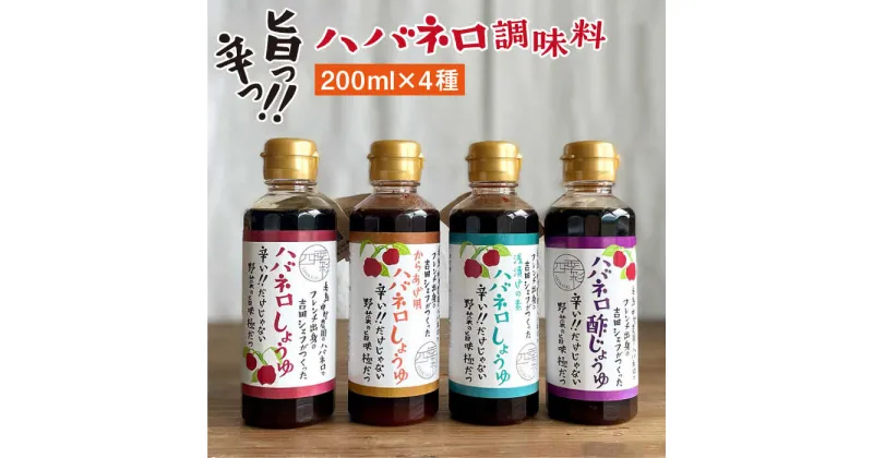 【ふるさと納税】 ハバネロ調味料 200ml 4本セット【シェフのごはんやさん四季彩】 いとしまごころ [ACC008] 15000円