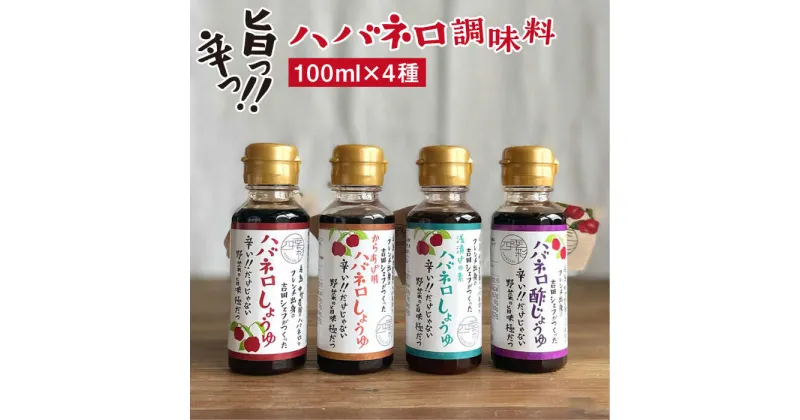 【ふるさと納税】 ハバネロ調味料 100ml 4本セット【シェフのごはんやさん四季彩】 いとしまごころ [ACC014] 11000円