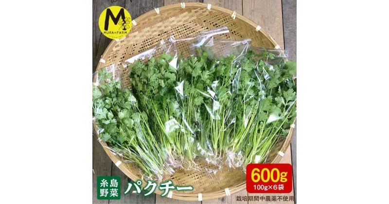 【ふるさと納税】【先行予約販売】糸島産 パクチー 600g(100g×6袋) 糸島市 / MURA FARM [AFD001] 10000円 1万円