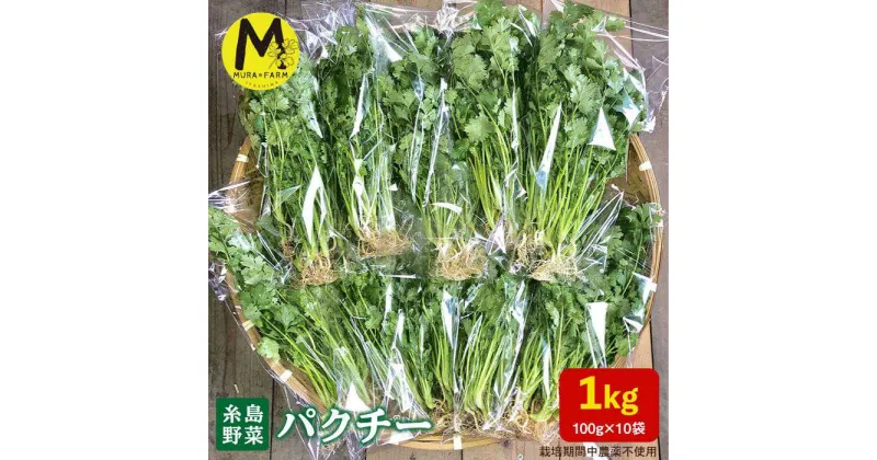 【ふるさと納税】【先行予約販売】糸島産 パクチー 1kg (100g×10袋) 糸島市 / MURA FARM [AFD002] 14000円