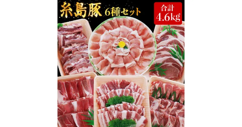 【ふるさと納税】合計4.6kg！糸島豚食べ尽くしセット(とんかつ、肩ロース、しゃぶしゃぶ、豚バラ、スペアリブ、小間切れ) 糸島 / トラヤミートセンター [AJD005] 32000円