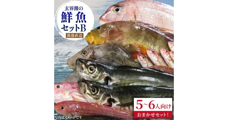 【ふるさと納税】福吉漁港直送！玄界灘の鮮魚セットB (5,6人向け) 福ふくの里 [ALD002] 15000円