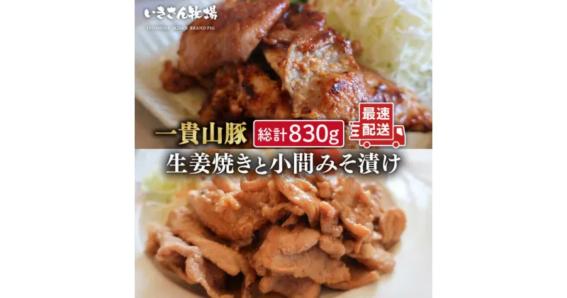 【ふるさと納税】焼くだけかんたん！ 一貴山豚 生姜焼き 1個 小間 みそ漬け 2個 糸島市 / いきさん牧場 [AGB005] 定番 おかず 10000円 1万円