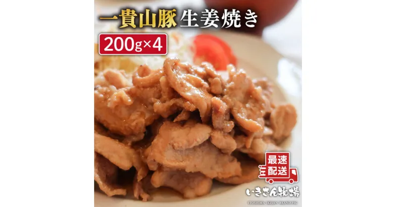 【ふるさと納税】焼くだけ 定番 おかず ！一貴山豚 生姜焼き 4個 糸島市 / いきさん牧場 [AGB004] 豚肉 小分け 10000円 1万円