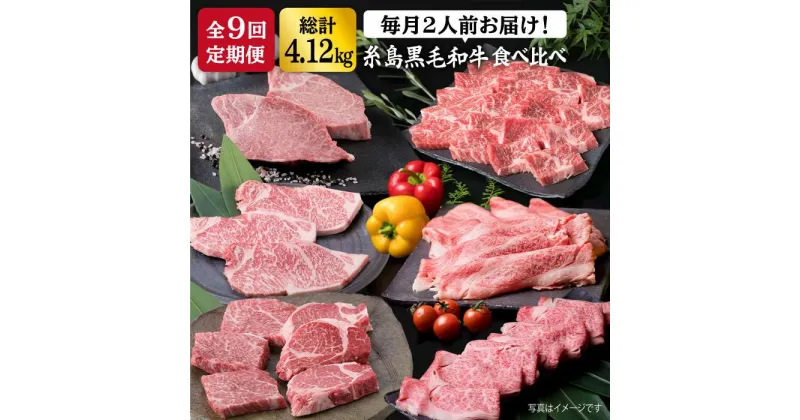 【ふるさと納税】【全9回定期便】糸島黒毛和牛 食べ比べ (ヒレ/ランプ/サーロイン/ロース/カルビ/バラ/シャトーブリアン/モモ) 計4.12kg 《糸島》【糸島ミートデリ工房】 [ACA109] 208000円 200000円 20万 黒毛和牛 冷凍配送