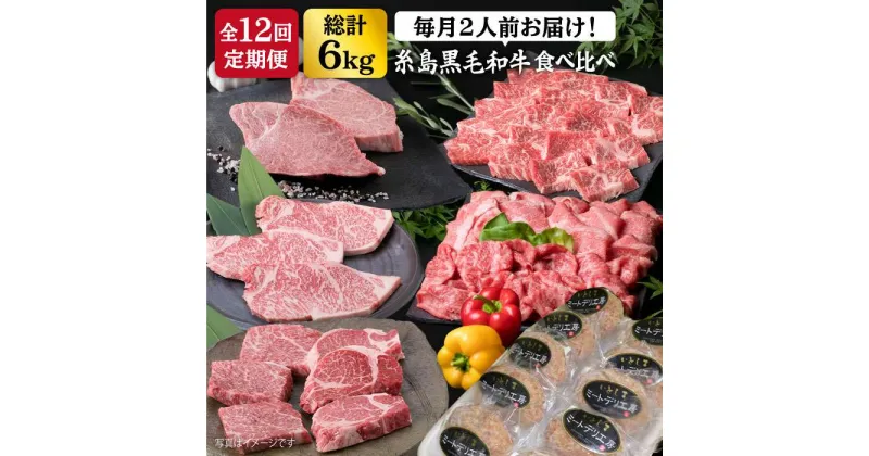 【ふるさと納税】【全12回 定期便 】 糸島 黒毛和牛 食べ比べ 合計6kg ヒレ ランプ カルビ バラ サーロイン シャトーブリアン モモ ハンバーグ 【糸島ミートデリ工房】 [ACA111] 240000円 200000円 20万 黒毛和牛 冷凍配送