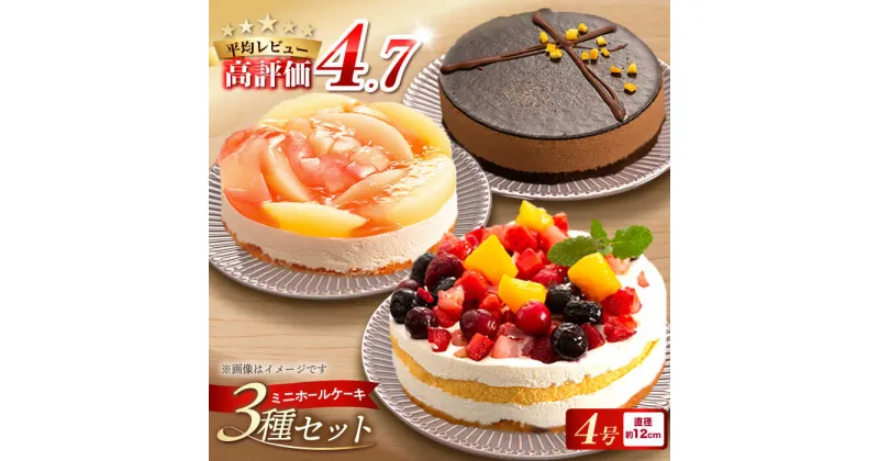 【ふるさと納税】フルーツ / チョコムース / レアチーズ ミニ ホールケーキ 3種 冷凍 糸島市 / 五洋食品産業 [AQD017] スイーツ 洋菓子 11000円 1万1千円