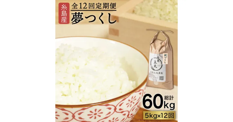 【ふるさと納税】【全12回定期便】 糸島産 夢つくし 5kg × 12回 (月1回) 糸島市 / 糸島王丸農園 ( 谷口汰一 )【いとしまごころ】 [AAZ004] 154000円 常温 100000円 10万 米 玄米 白米