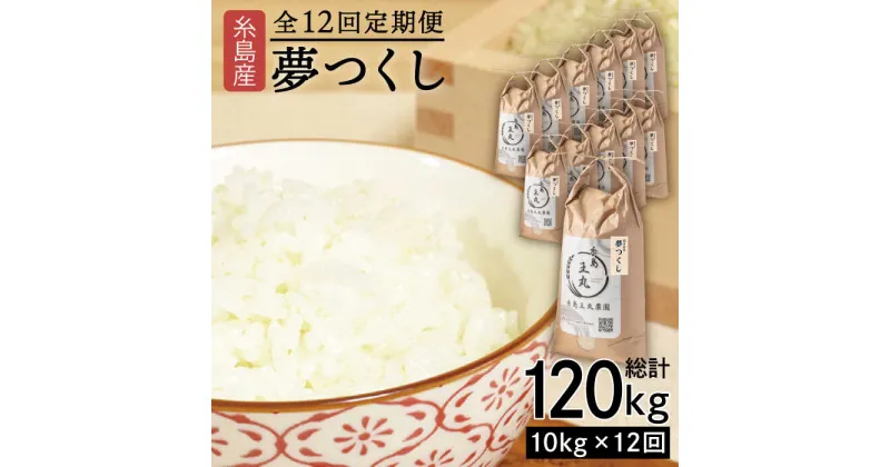 【ふるさと納税】【全12回定期便】 糸島産 夢つくし 10kg × 12回 (月1回) 計120kg【2024年10月末以降順次発送】 糸島市 / 糸島王丸農園 ( 谷口汰一 )【いとしまごころ】 [AAZ008] 249000円 常温 200000円 20万 米 玄米 白米