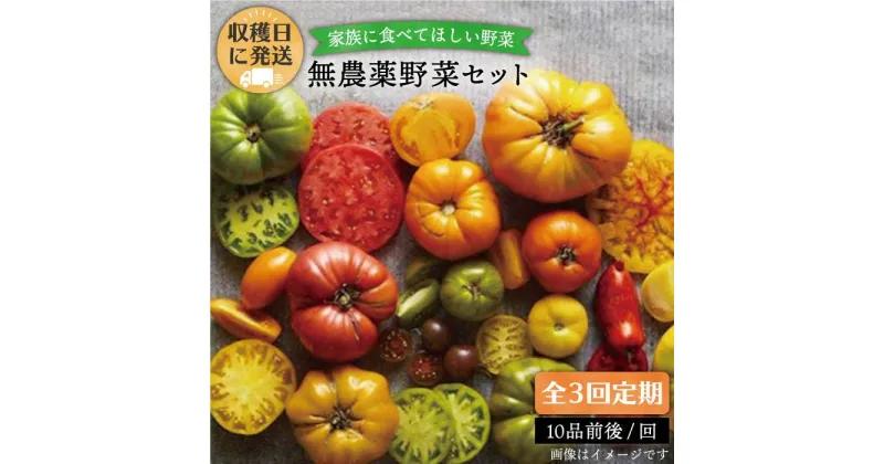 【ふるさと納税】【全3回定期便(月1回)】☆畑直送☆【福岡県糸島産】朝獲れ＊野菜セット(10品前後) オーガニックナガミツファーム [AGE006] 33000円