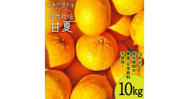 【ふるさと納税】【先行予約受付中】皮まで安心！甘夏 10kg 自然栽培【2025年4月上旬より順次発送】 糸島市 / 大石ファーム[ATE004] 20000円 2万円 常温