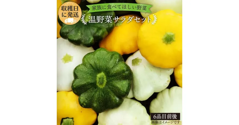 【ふるさと納税】☆畑直送☆朝獲れ＊温野菜サラダセット（電子レンジでチンするだけ！）栽培期間中農薬・化学肥料不使用_オーガニックナガミツファーム [AGE015] 12000円