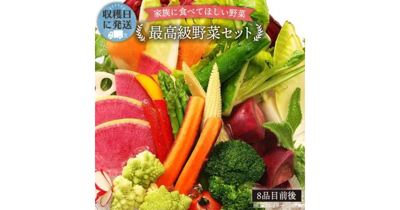 【ふるさと納税】【最高に贅沢な野菜】こだわり栽培[最高級野菜]セット！栽培期間中農薬・化学肥料不使用_オーガニックナガミツファーム [AGE014] 27000円