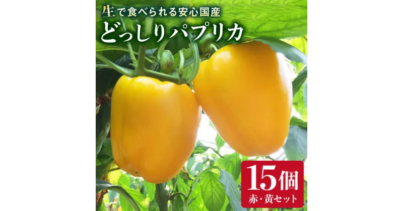 【ふるさと納税】肉厚 パプリカ 15個 福岡県 糸島産 シーブ 糸島市 [AHC032] 26000円 野菜 ピーマン