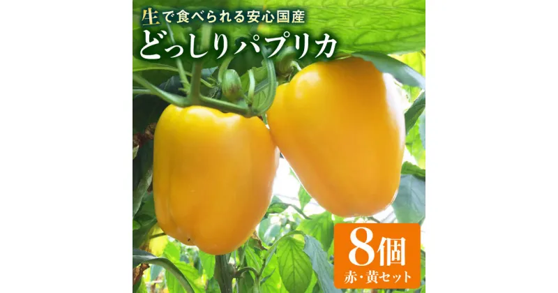 【ふるさと納税】肉厚 パプリカ 8個 福岡県 糸島産 シーブ 糸島市 [AHC031] 17000円 野菜 ピーマン