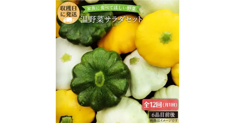 【ふるさと納税】【全12回定期便】☆畑直送☆【福岡県糸島産】朝獲れ＊温野菜サラダセット（電子レンジでチンするだけ！）_オーガニックナガミツファーム [AGE021] 140000円 14万円 100000円 10万