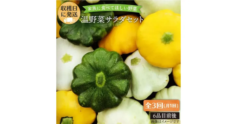 【ふるさと納税】【全3回定期便】☆畑直送☆【福岡県糸島産】朝獲れ＊温野菜サラダセット（電子レンジでチンするだけ！）_オーガニックナガミツファーム [AGE019] 35000円 3万5千円