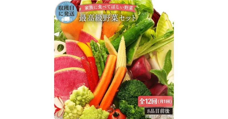 【ふるさと納税】【全12回定期便】【最高に贅沢な野菜】☆畑直送☆こだわり有機栽培[最高級野菜]セット_オーガニックナガミツファーム [AGE018] 320000円 32万円 300000円 30万