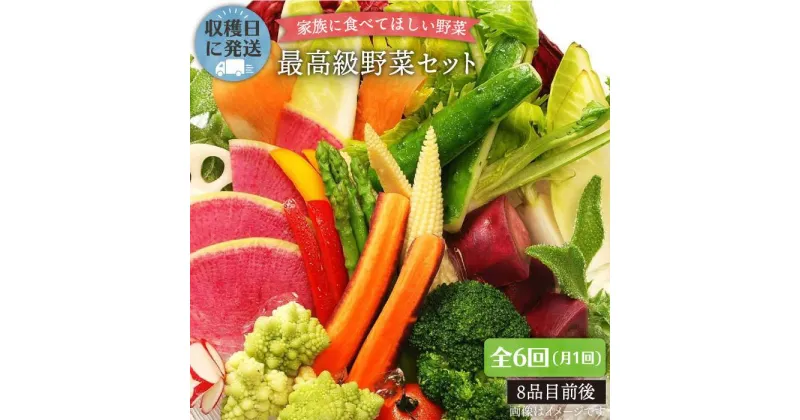 【ふるさと納税】【全6回定期便】【最高に贅沢な野菜】☆畑直送☆こだわり有機栽培[最高級野菜]セット_オーガニックナガミツファーム [AGE017] 160000円 16万円 100000円 10万