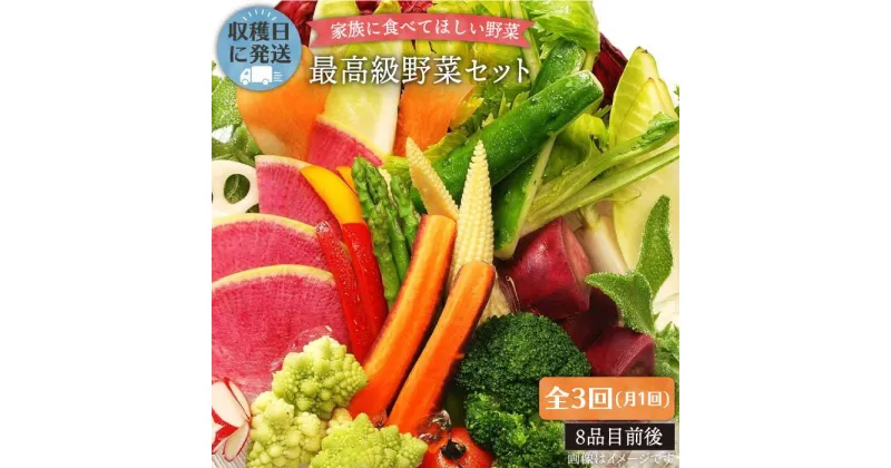 【ふるさと納税】【全3回定期便】【最高に贅沢な野菜】☆畑直送☆こだわり有機栽培[最高級野菜]セット_オーガニックナガミツファーム [AGE016] 80000円 8万円