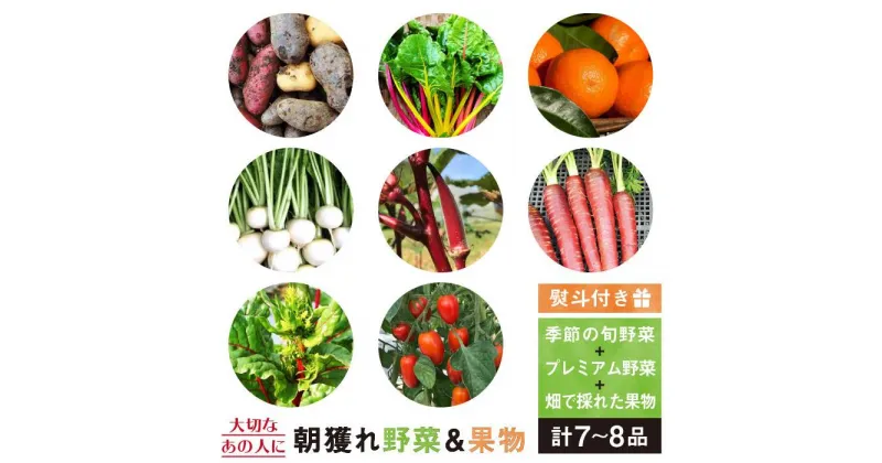 【ふるさと納税】(大切な人に贈り物)季節の旬野菜+プレミアム野菜+畑で取れた果物、合計7、8品セット【熨斗付き】_オーガニックナガミツファーム [AGE022] 14000円