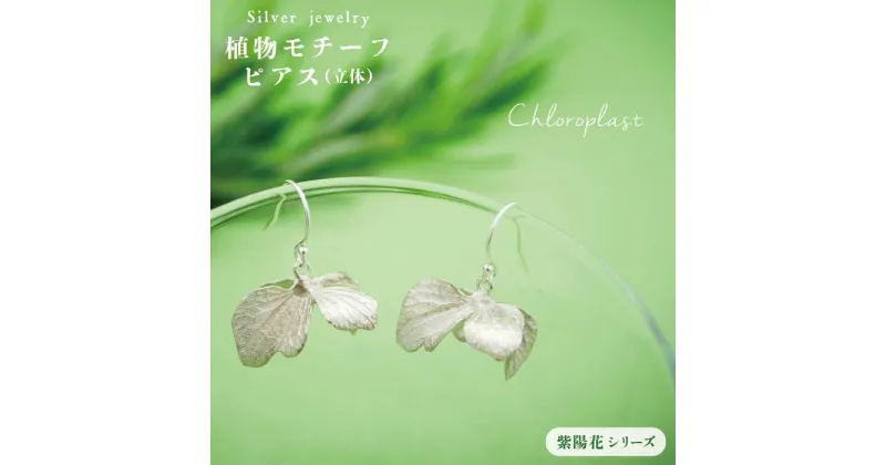 【ふるさと納税】植物をモチーフにしたピアス(立体)【Chloroplast/クロロプラスト】≪糸島市≫ [ALF003] 93000円