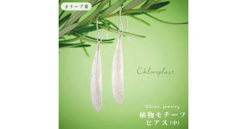 【ふるさと納税】植物モチーフ オリーブ葉ピアス(中) /Chloroplast/クロロプラスト/ジュエリー[ALF004]≪糸島市≫ 49000円