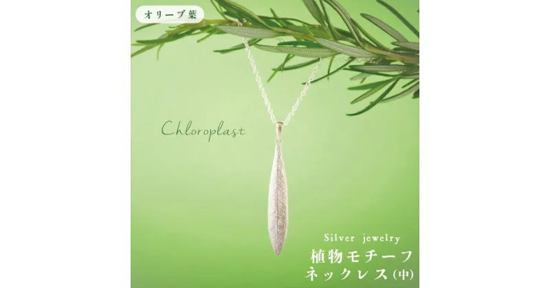 【ふるさと納税】植物モチーフ オリーブ葉ネックレス(中)/Chloroplast/クロロプラスト/ジュエリー ≪糸島市≫[ALF005] 49000円