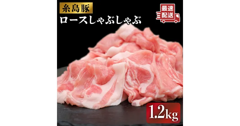 【ふるさと納税】糸島豚 ロース しゃぶしゃぶセット1.2kg(600g×2p) 糸島市 / JA糸島産直市場 伊都菜彩[AED002] 豚肉 豚しゃぶ 12000円