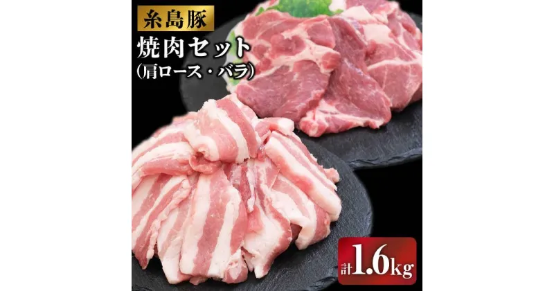 【ふるさと納税】糸島豚の焼肉セット1.6kg(肩ロース800g/バラ800g)糸島市 / JA糸島産直市場 伊都菜彩[AED004] 12000円