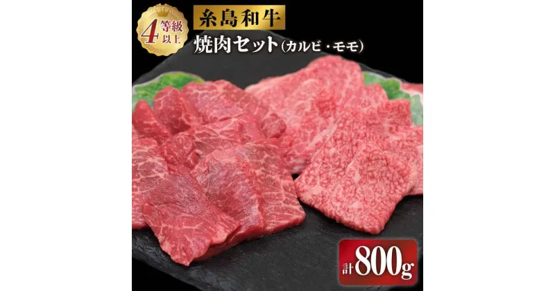 【ふるさと納税】糸島和牛の焼肉セット800g(カルビ400g/モモ400g) 糸島市 / JA糸島産直市場 伊都菜彩[AED008] 21000円 黒毛和牛 冷蔵配送