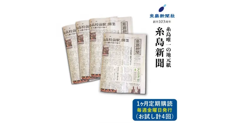 【ふるさと納税】糸島新聞1カ月間お試し購読 福岡県糸島市[ADF008] 3000円 3千円