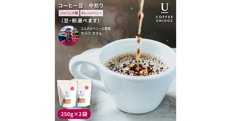 【ふるさと納税】中煎りコーヒー豆250g×2袋 (豆・粉選べます) ニカラグア産エルポルベニール農園ジャバニカ種オレンジハニー《糸島市》【COFFEE UNIDOS】珈琲/カフェ/コーヒー粉 [AQF005] 15000円 常温