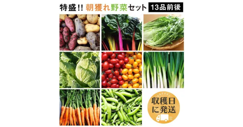 【ふるさと納税】☆畑直送☆ 福岡県糸島産 朝採れ野菜セット（13品前後）オーガニックナガミツファーム [AGE023] 16000円