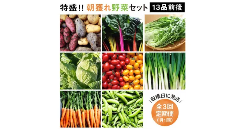 【ふるさと納税】【全3回定期便】☆畑直送☆ 福岡県糸島産 朝採れ野菜セット（13品前後）オーガニックナガミツファーム [AGE024] 47000円