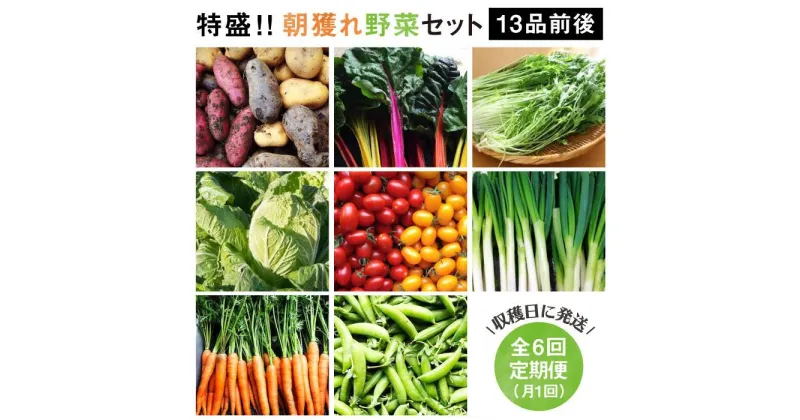 【ふるさと納税】【全6回定期便】☆畑直送☆ 福岡県糸島産 朝採れ野菜セット（13品前後）オーガニックナガミツファーム [AGE025] 93000円