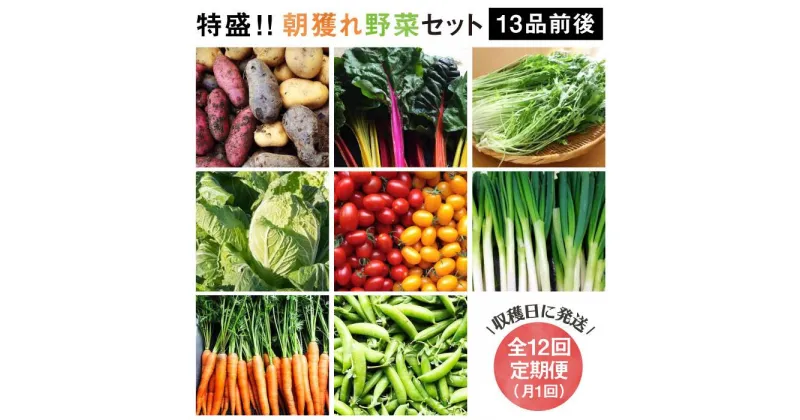 【ふるさと納税】【全12回定期便】☆畑直送☆ 福岡県糸島産 朝採れ野菜セット（13品前後）オーガニックナガミツファーム [AGE026] 詰め合わせ おまかせ 185000円 100000円 10万