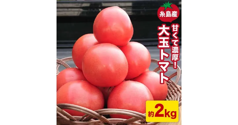 【ふるさと納税】【先行予約】甘くて濃厚！糸島産 大玉 トマト 2kg【2024年11月以降順次発送】【大櫛トマトファーム】とまと 糸島野菜 やさい [AQH001] 9000円 9千円 常温