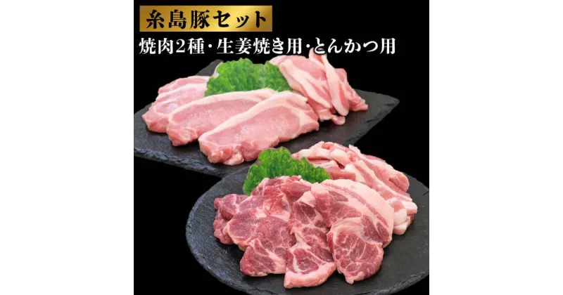 【ふるさと納税】糸島豚肉セット ( 焼肉用・生姜焼き用・とんかつ用 ) 糸島市 / JA糸島産直市場 伊都菜彩 [AED003] 12000円