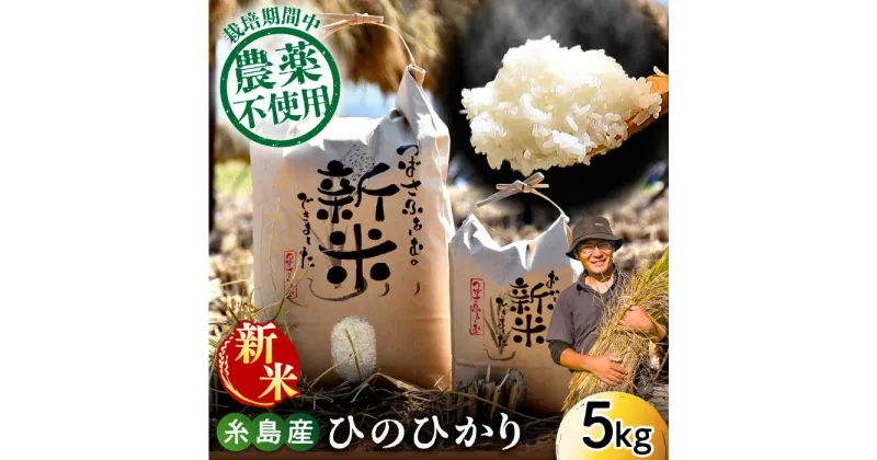 【ふるさと納税】【令和6年産新米】糸島産 雷山のふもとの米 5キロ 栽培期間中 農薬不使用 糸島市 / ツバサファーム 米/白米/玄米/ヒノヒカリ ひのひかり [ANI001] 13000円 常温