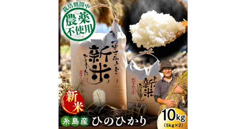 【ふるさと納税】【令和6年産新米】糸島産 雷山のふもとの米 10キロ (5kg×2) 栽培期間中 農薬不使用 糸島市 / ツバサファーム 米/白米/玄米/ヒノヒカリ ひのひかり [ANI002] 24000円 2万4千円 常温