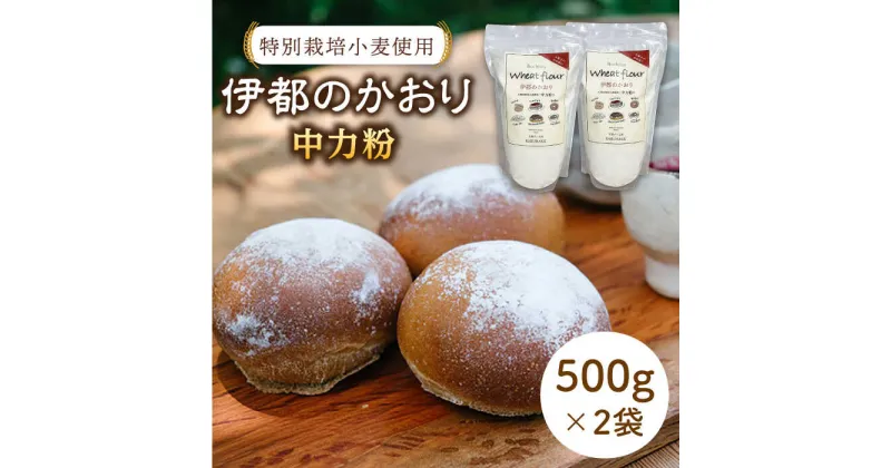 【ふるさと納税】特別栽培小麦使用「伊都のかおり」500g×2袋 ≪糸島≫【天然パン工房楽楽】小麦/中力粉/パン 【いとしまごころ】[AVC052] 9000円 9千円 常温