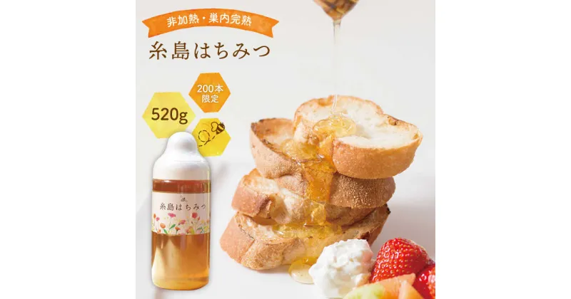 【ふるさと納税】【限定200本】糸島はちみつ 520g【ヴァンベールフーズ】百花/蜂蜜 [AFJ002] 16000円 常温